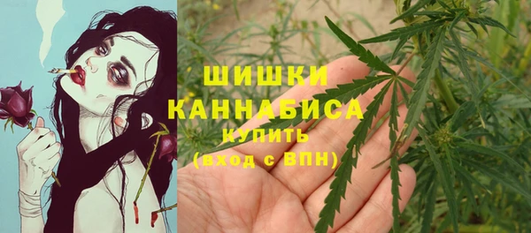 крисы Карпинск