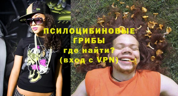крисы Карпинск