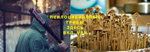 винт Касимов